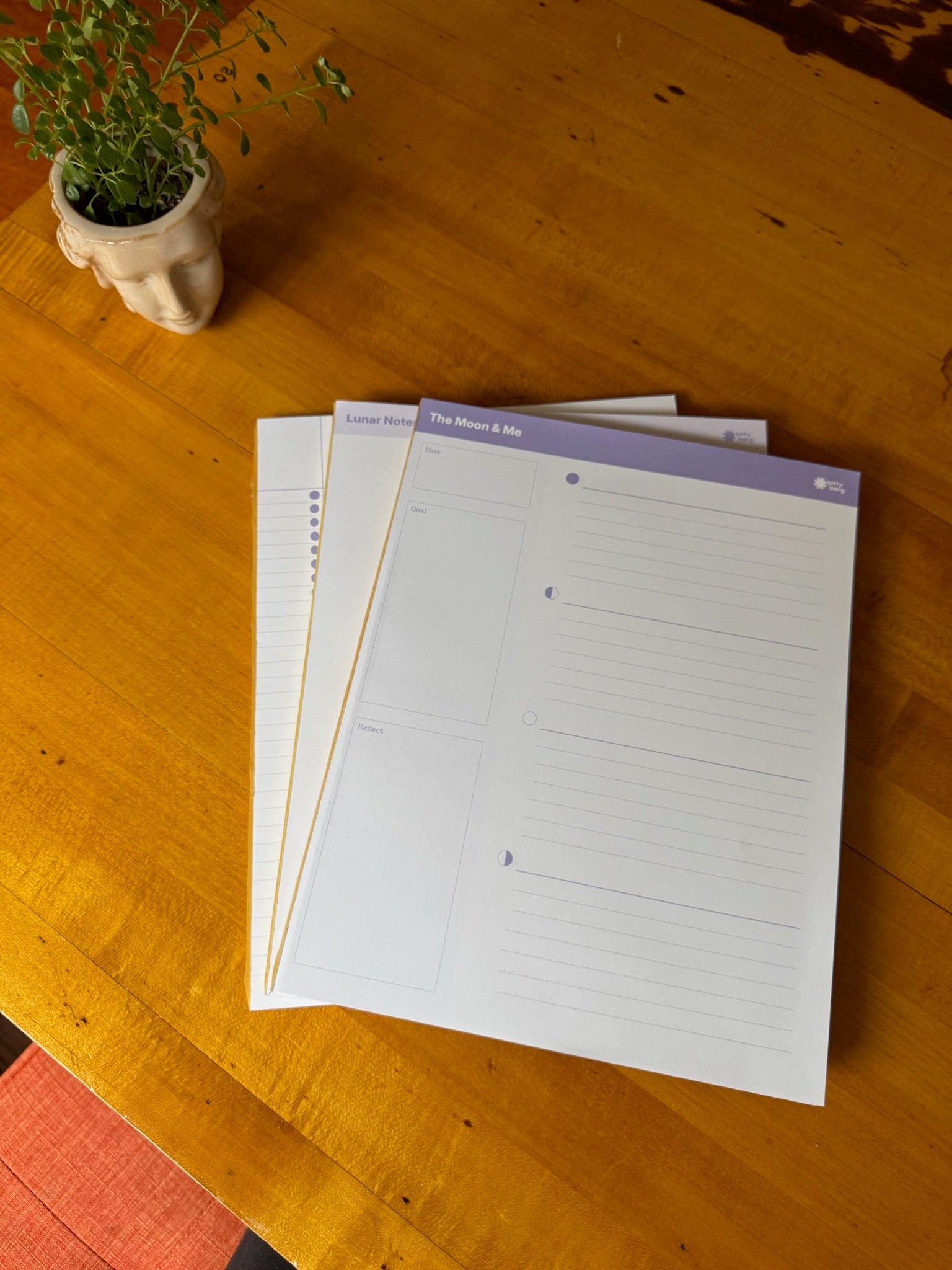 Moon Goal-Setting & Reflection Notepad
